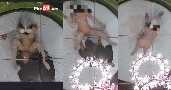 Thỏ và anh nhiếp ảnh gia: full clip ngọt ngào khó quên